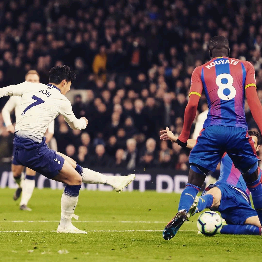 机的把握无 机的把握无